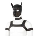 8240_1jpg.image.800x800