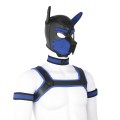 8240_2jpg.image.800x800
