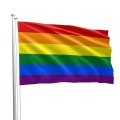 833720_rainbow_pride_flag_-_1